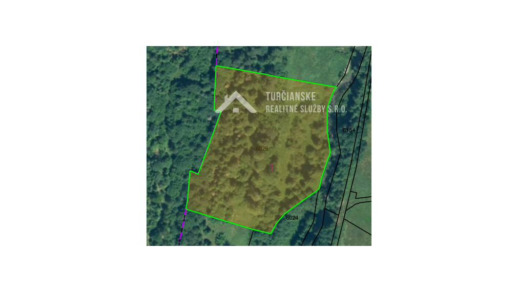 Trvalý trávnatý porast Nálepkovo Záhajnica