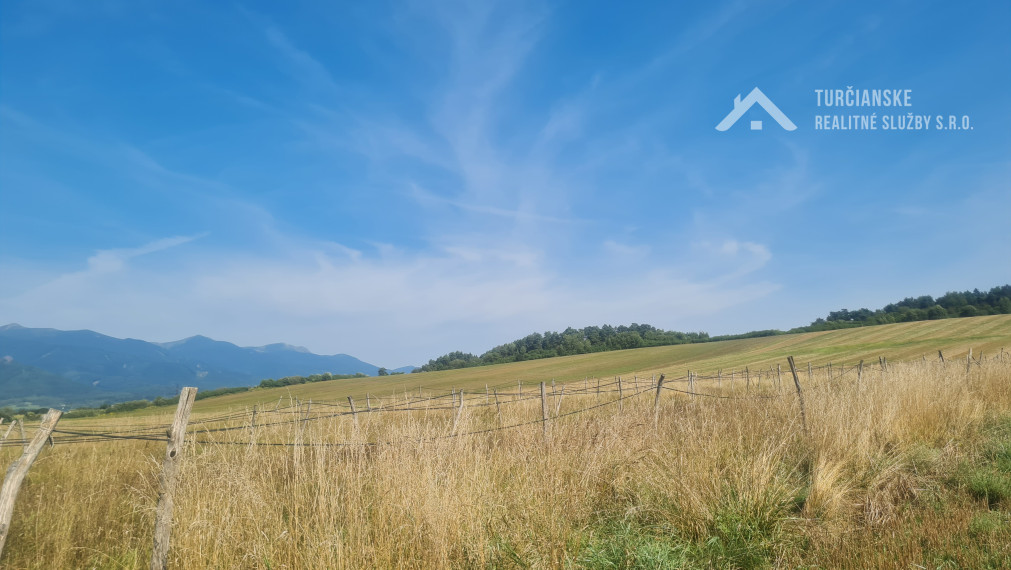 Pozemky Mestská Borová