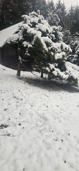 Chata na relax k predaju