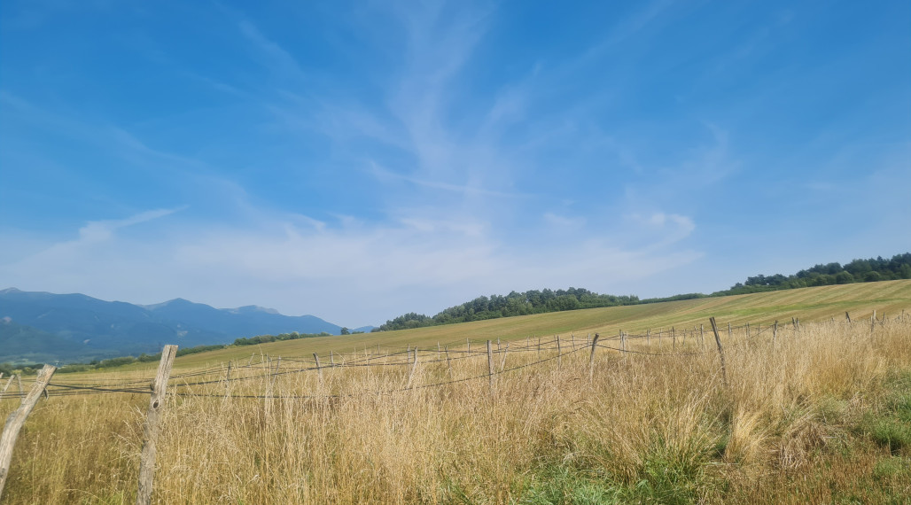 Pozemky Mestská Borová