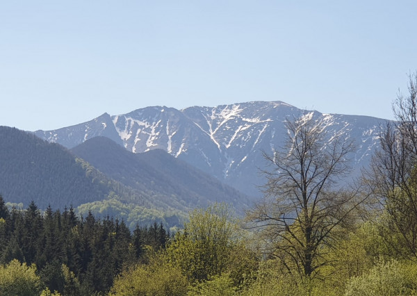 pozemok v obci Lysica