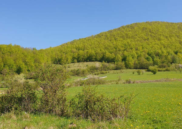 Pozemok v obci Lysica