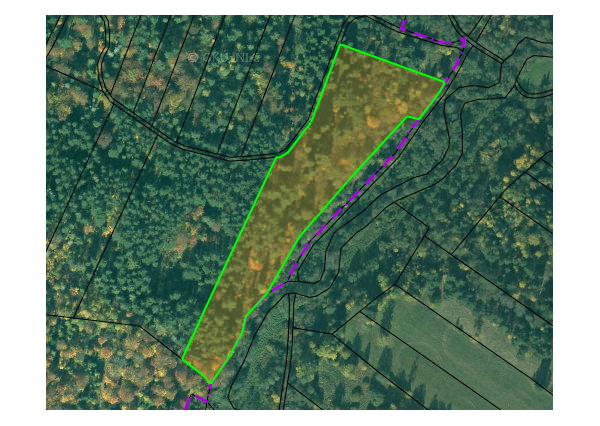 Lesný pozemok s porastom v Nálepkovo Záhajnica