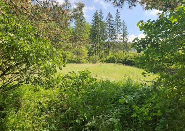 Pozemok v lokalite Záturčie o veľkosti 666m2